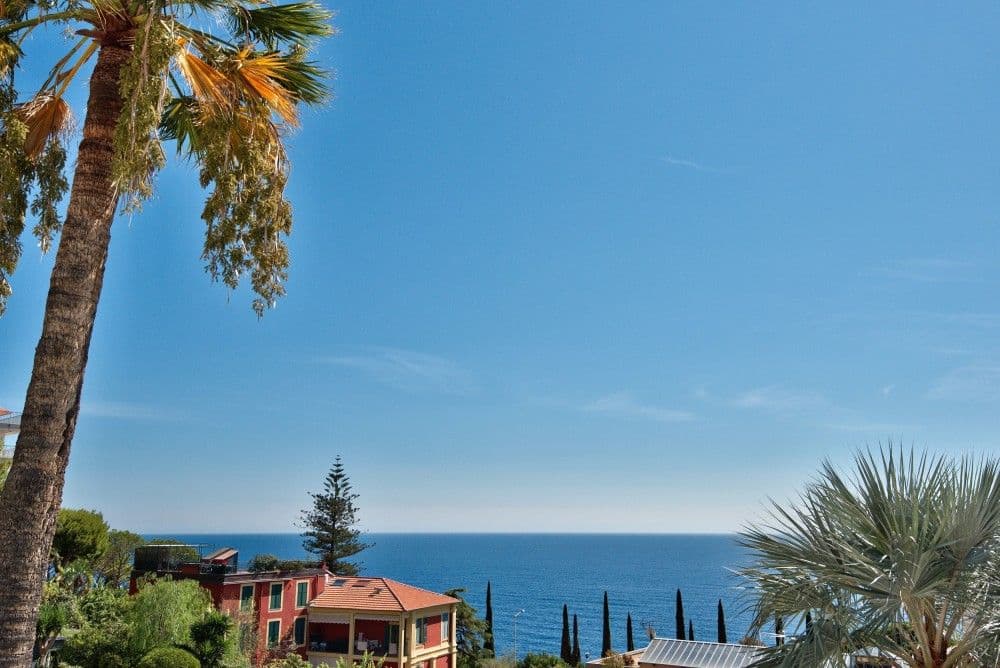 View between palm trees to the sea, 4-bedroom villa in Mont Boron, Nice