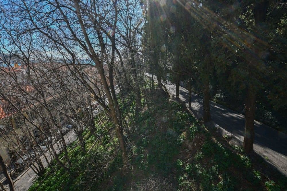 View from the window over the trees and the street below, 1-bedroom apartment in the Port, Nice