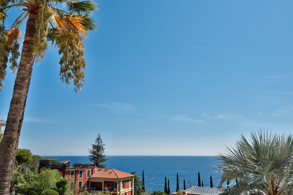 View between palm trees to the sea, 4-bedroom villa in Mont Boron, Nice